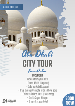 Abu Dhabi City Tour from Dubai