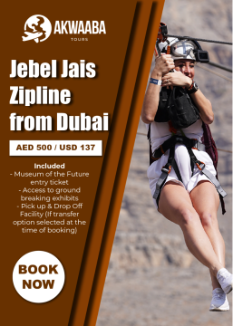 Jebel Jais Zipline from Dubai